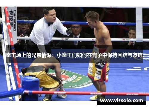 拳击场上的兄弟情深：小拳王们如何在竞争中保持团结与友谊