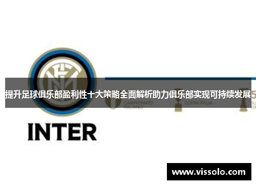 提升足球俱乐部盈利性十大策略全面解析助力俱乐部实现可持续发展