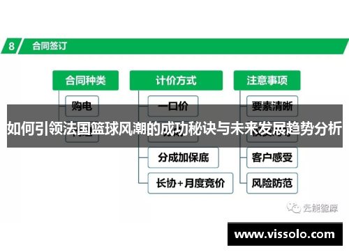 如何引领法国篮球风潮的成功秘诀与未来发展趋势分析