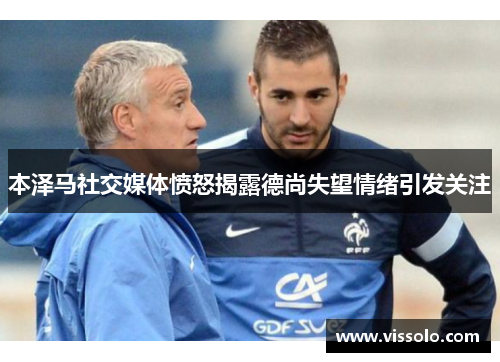 本泽马社交媒体愤怒揭露德尚失望情绪引发关注