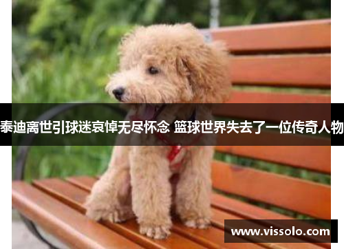 泰迪离世引球迷哀悼无尽怀念 篮球世界失去了一位传奇人物