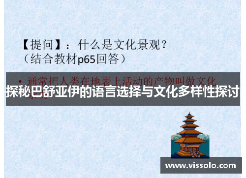 探秘巴舒亚伊的语言选择与文化多样性探讨