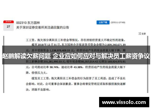 赵鹏解读欠薪问题 企业应如何应对与解决员工薪资争议